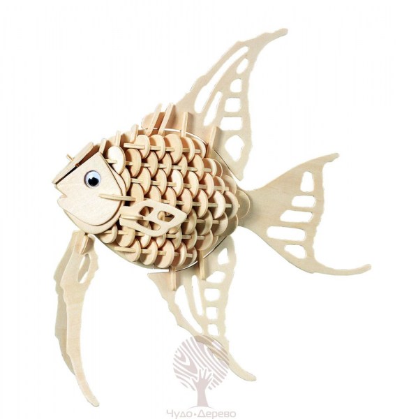 Ангельская рыбка, арт.: H010